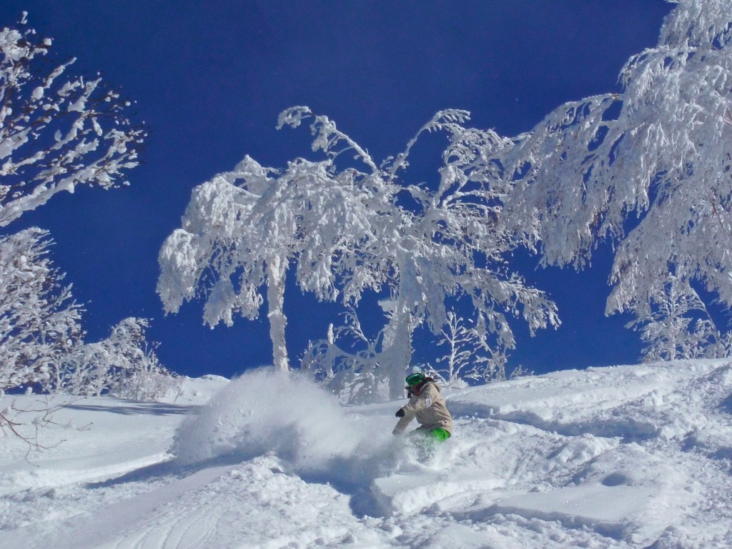 japan ski experience