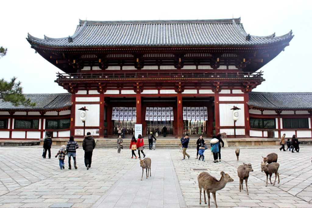 8 Things To Do In Nara Exploring The Sites Of Ancient Japan