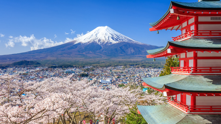 Mt.Fuhji and cherry blossom