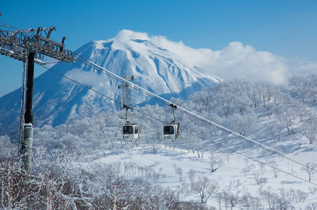 NISEKO UNITED