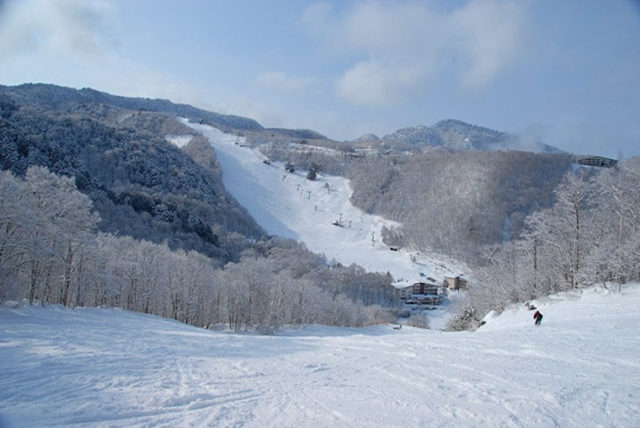 Shiga Kogen Mountain Resort